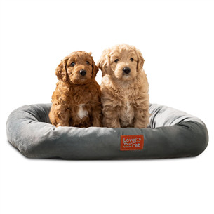 Beurer Kira, hall - Soojendusega lemmikloomavoodi