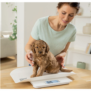 Beurer Polly, valge - Multifunktsionaalne lemmiklooma kaal