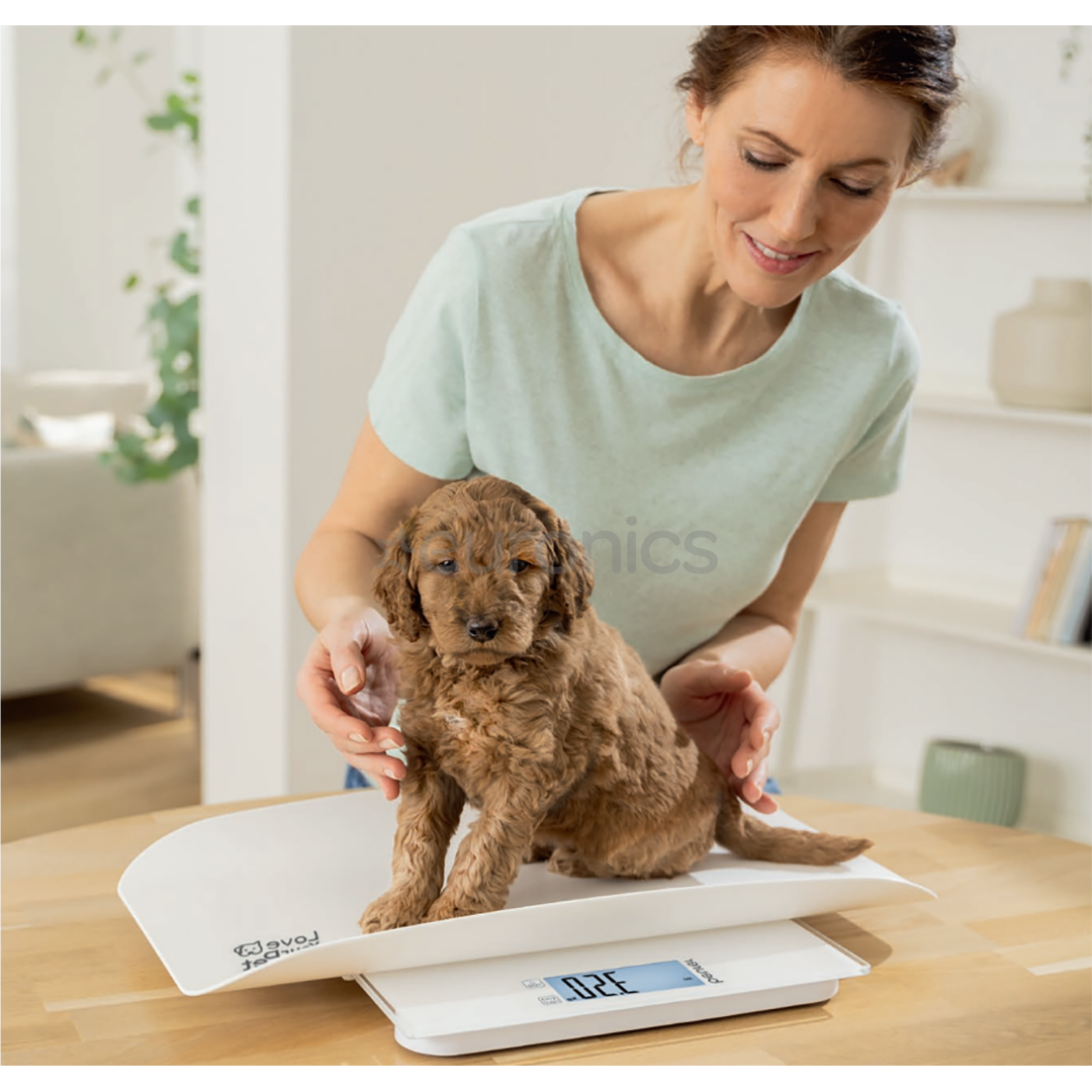 Beurer Polly, white - Multifunctional pet scale