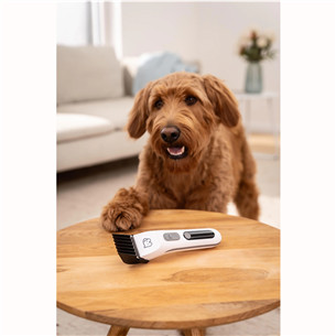 Beurer PP 110 „Fluffy“, valge - Lemmiklooma trimmer