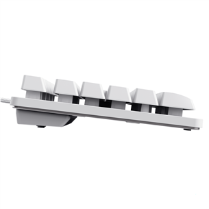Trust GXT 833 Thado TKL, SWE, valge - Klaviatuur