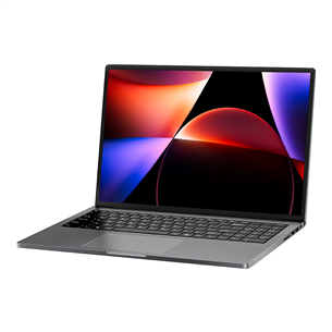 BlackView AceBook 12, 16'', WUXGA, i5, 16 GB, 512 GB, W11P, ENG, starry gray - Notebook
