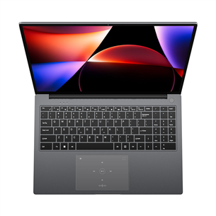 BlackView AceBook 12, 16'', WUXGA, i5, 16 GB, 512 GB, W11P, ENG, starry gray - Notebook
