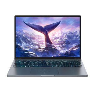 BlackView GamiBook 8, 16'', WUXGA, Ryzen 7, 32 ГБ, 512 ГБ, W11P, ENG, серый - Ноутбук 6931548324164