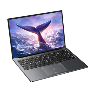 BlackView GamiBook 8, 16'', WUXGA, Ryzen 7, 32 ГБ, 1 ТБ, W11P, ENG, серый - Ноутбук