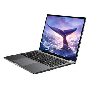 BlackView GamiBook 8, 16'', WUXGA, Ryzen 7, 32 ГБ, 1 ТБ, W11P, ENG, серый - Ноутбук