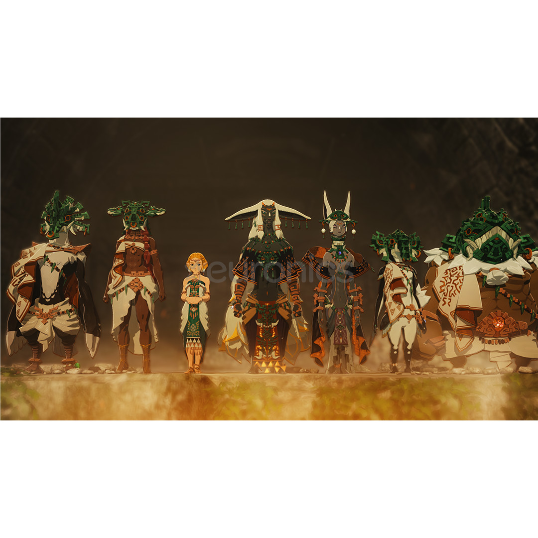 Hyrule Warriors: Age of Imprisonment, Nintendo Switch 2 - Mäng