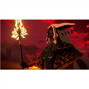 Hyrule Warriors: Age of Imprisonment, Nintendo Switch 2 - Mäng