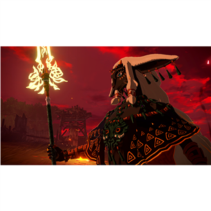 Hyrule Warriors: Age of Imprisonment, Nintendo Switch 2 - Игра