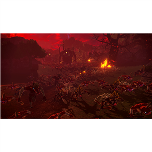 Hyrule Warriors: Age of Imprisonment, Nintendo Switch 2 - Игра