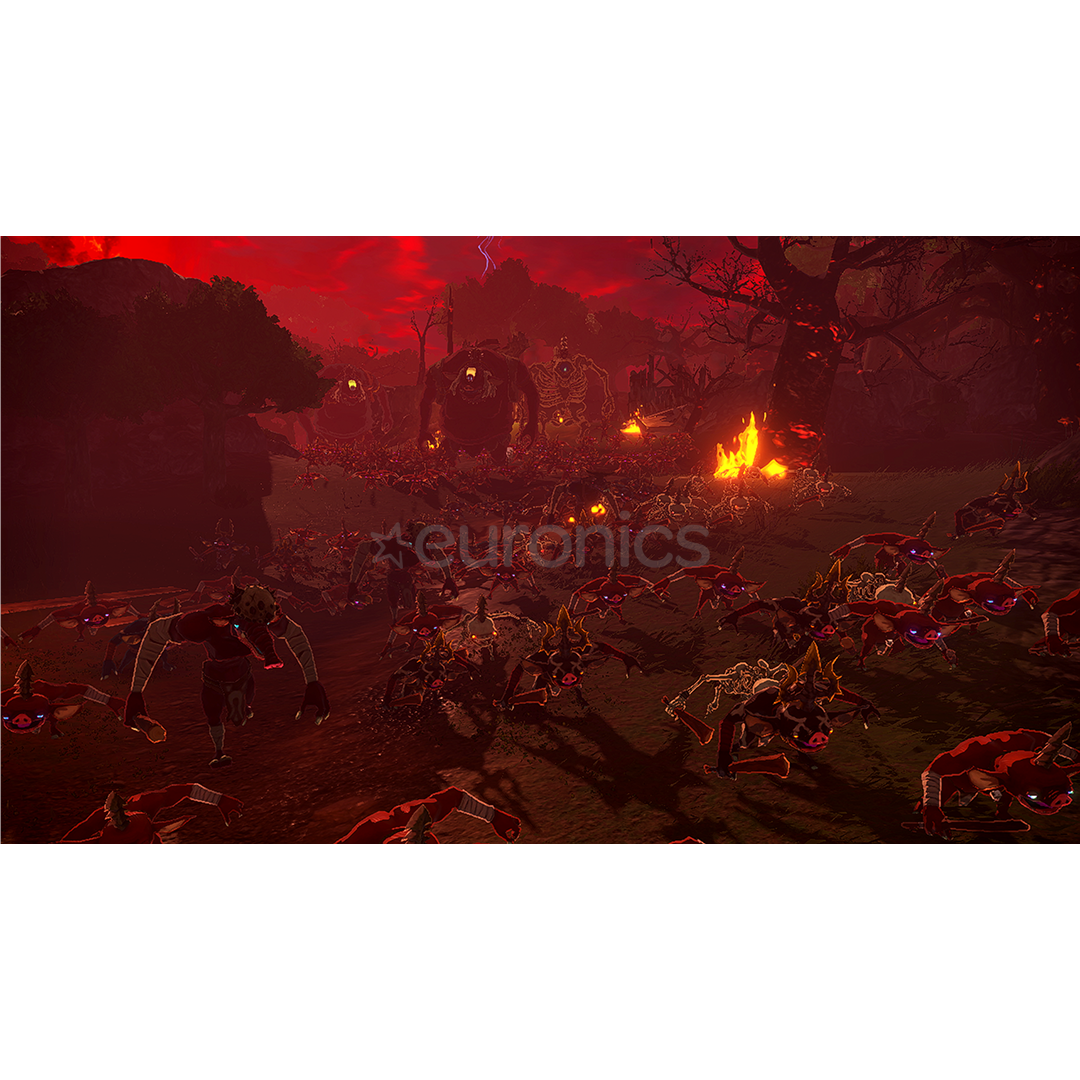 Hyrule Warriors: Age of Imprisonment, Nintendo Switch 2 - Игра