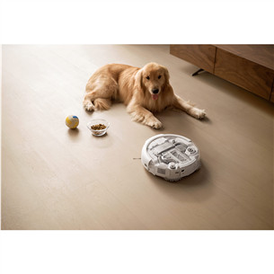 DJI Romo A, märg- ja kuivpuhastus, valge/läbipaistev - Robottolmuimeja