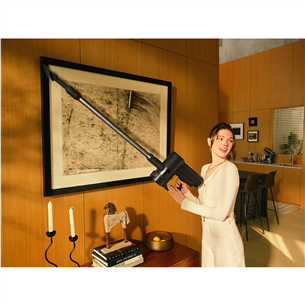 Roborock F25 ACE Combo, Wet & Dry, black - Cordless vacuum cleaner