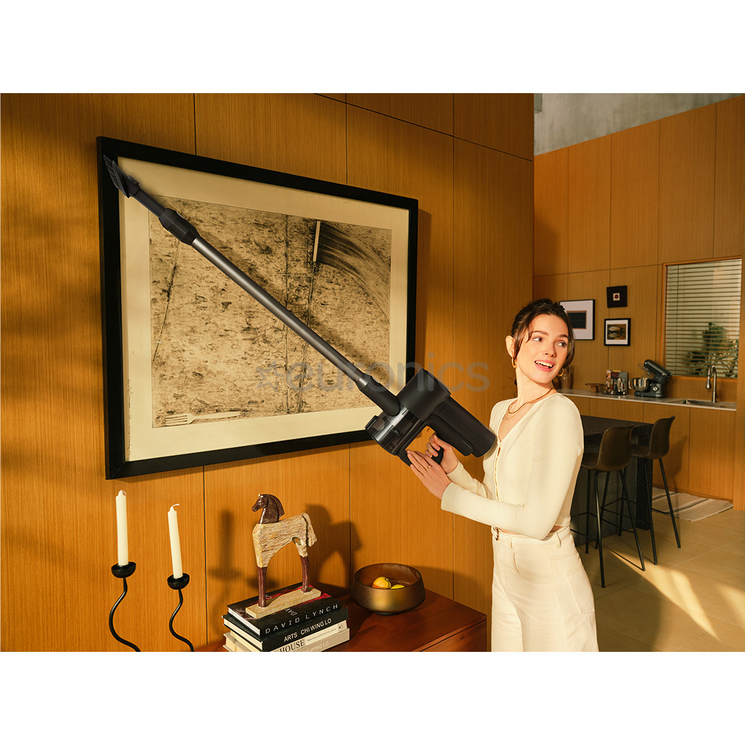 Roborock F25 ACE Combo, Wet & Dry, black - Cordless vacuum cleaner