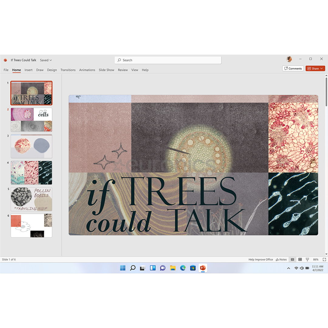Microsoft 365 Family, 12 kuu tellimus, 6 kasutajat / 5 seadet, 1 TB OneDrive, ENG - Tarkvara