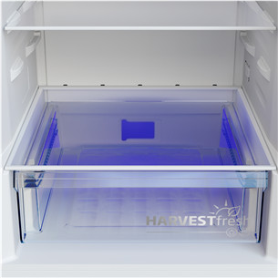 Beko, NoFrost, 301 L, height 180 cm, grey - Refrigerator