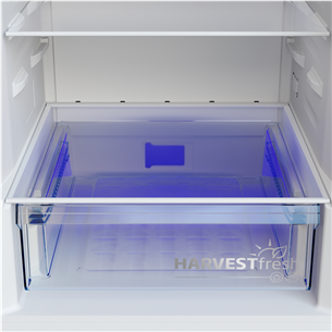 Beko, NoFrost, 301 L, height 180 cm, grey - Refrigerator