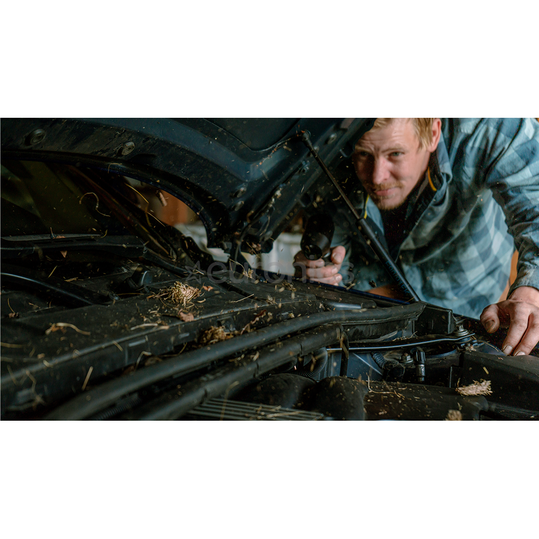 Hedgehog Jet, черный - Беспроводной воздуходув