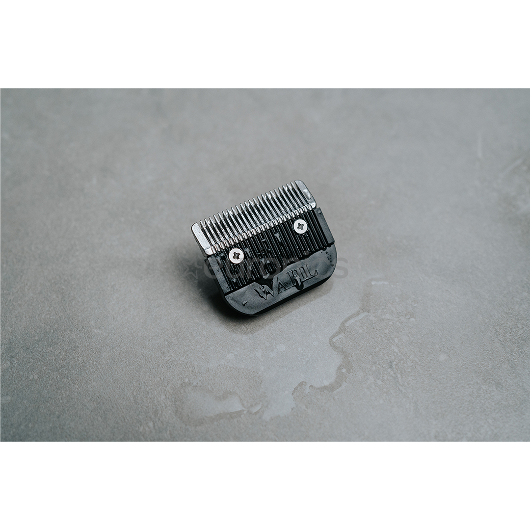 Wahl Color Pro Cordless, valge/sinine - Juukselõikur