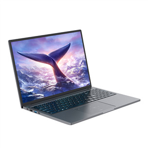 Blackview GamiBook 8, 16'', Ryzen 7, 16 GB, 512 GB, W11P, ENG, hall - Sülearvuti