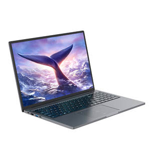 Blackview GamiBook 8, 16'', Ryzen 7, 16 ГБ, 512 ГБ, W11P, ENG, серый - Ноутбук