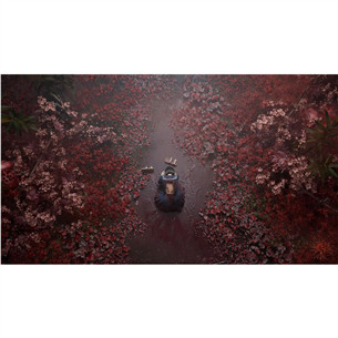 Silent Hill f Day One Edition, PlayStation 5 - Mäng