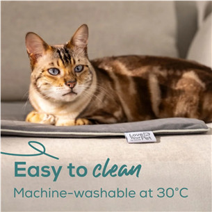 Beurer Sammy, 65 x 50 cm, grey - Heated pet mat