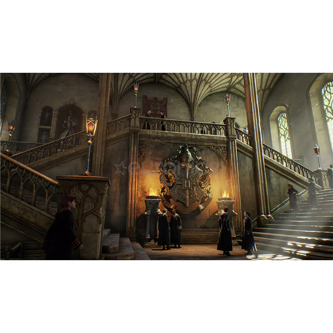 Hogwarts Legacy, Nintendo Switch - Mäng