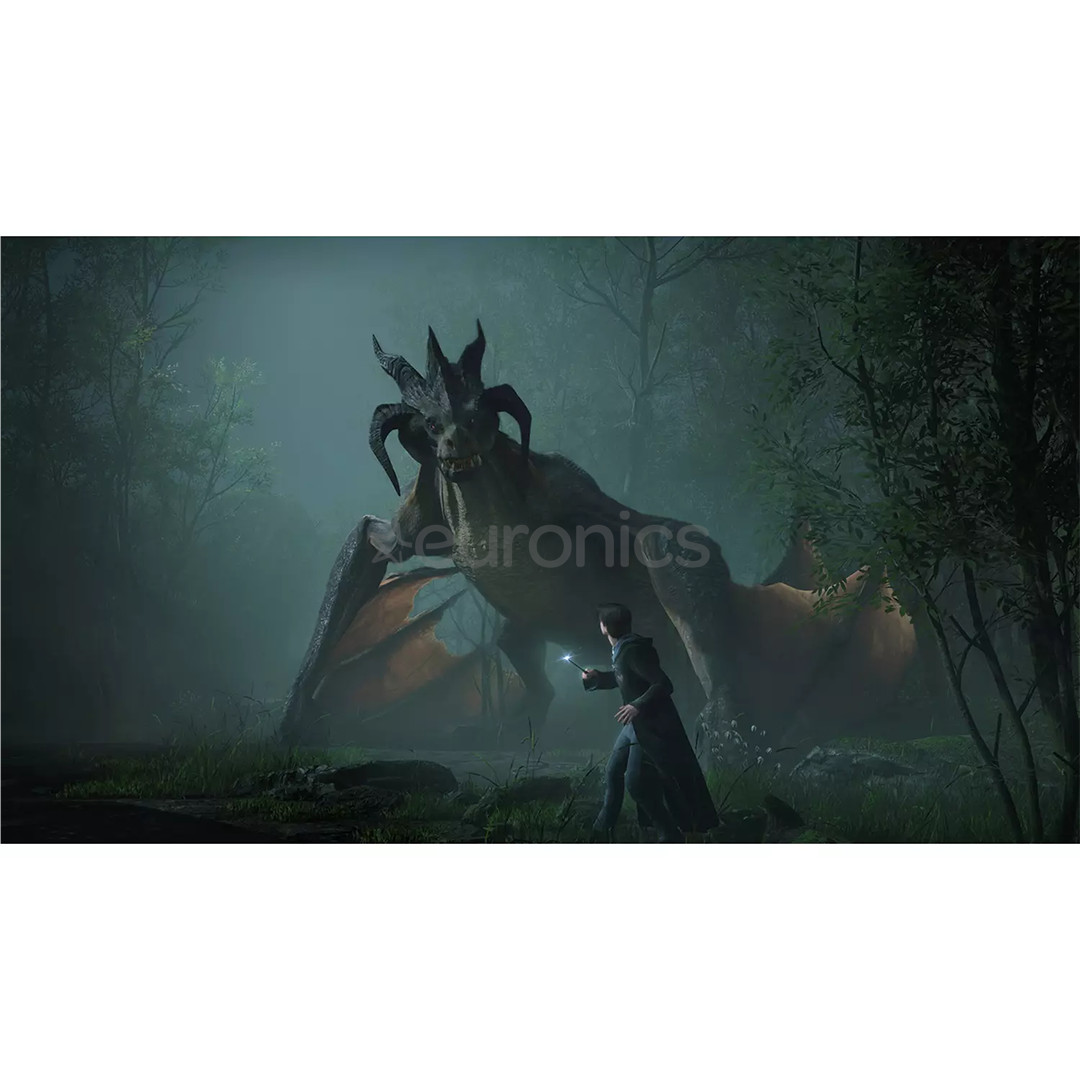 Hogwarts Legacy, Nintendo Switch - Mäng