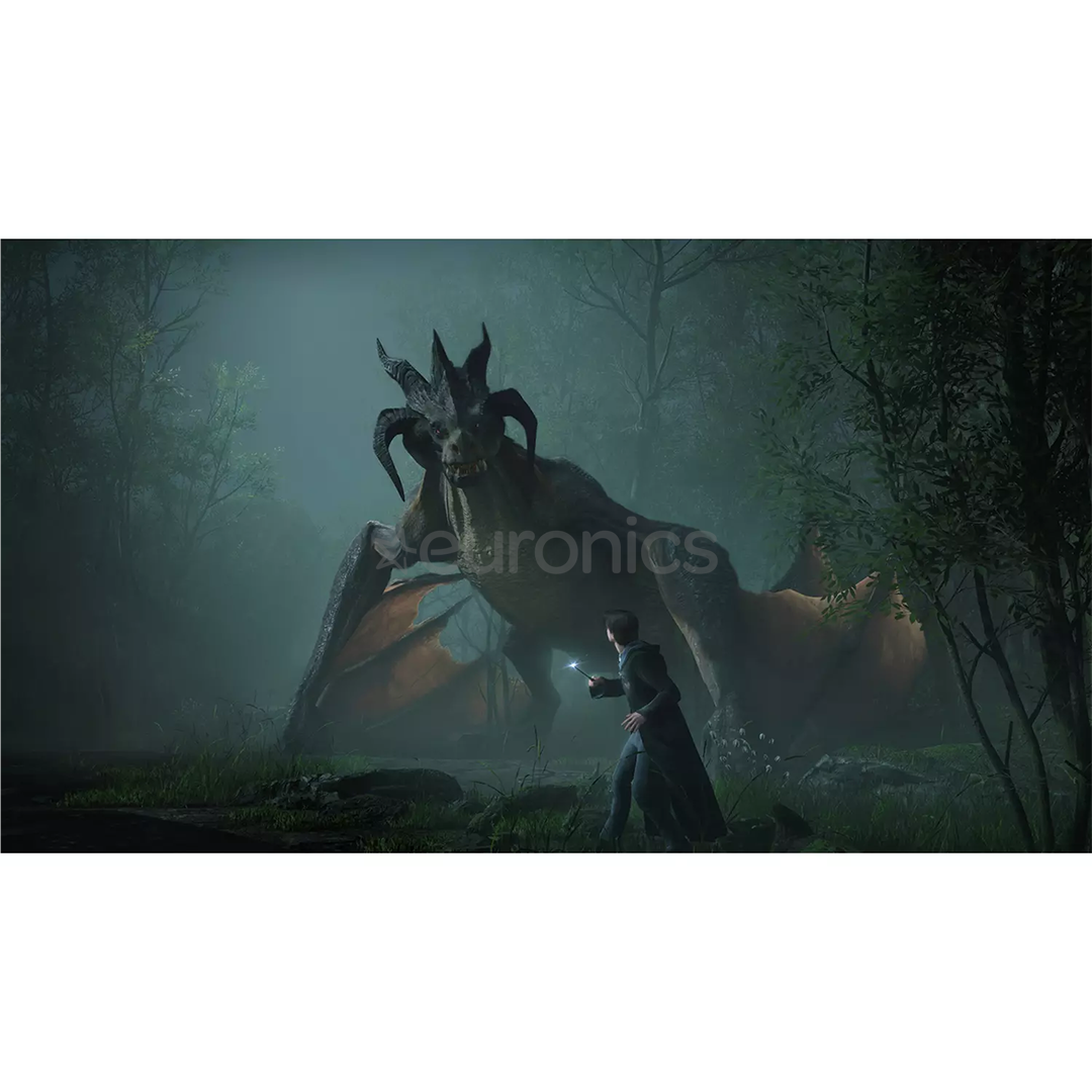 Hogwarts Legacy, Nintendo Switch - Game