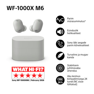 Sony WF-1000XM6, hõbe - Täisjuhtmevabad kõrvaklapid