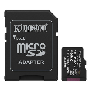 Kingston Canvas Select Plus, UHS-I, microSD, 256 GB, must - Mälukaart SDCS3/256GB