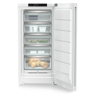 Liebherr plus NoFrost, 260 L, height 146 cm, white - Freezer