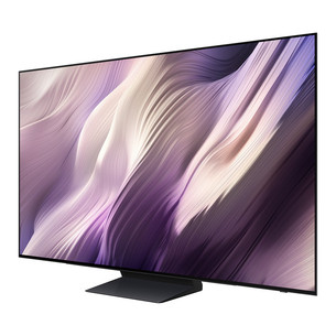 Samsung S95H 48'', 4K UHD, OLED, graphite black - TV