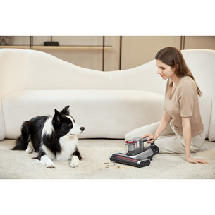 Jimmy BD7 Pro, grey - Cordless anti-mite vacuum cleaner