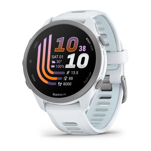 Garmin Forerunner 170, valge - Spordikell