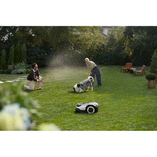 Roborock RockNeo Q105, hall - Robotmuruniiduk