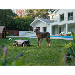 Roborock RockMow Z130, hall - Robotmuruniiduk