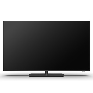 Philips The One PQS9011, 55'', 4K UHD, QLED, black - TV