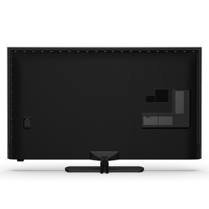 Philips The One PQS9011, 55'', 4K UHD, QLED, black - TV