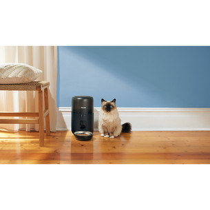 Philips 3000 Series, must - Nutikas lemmiklooma söötja