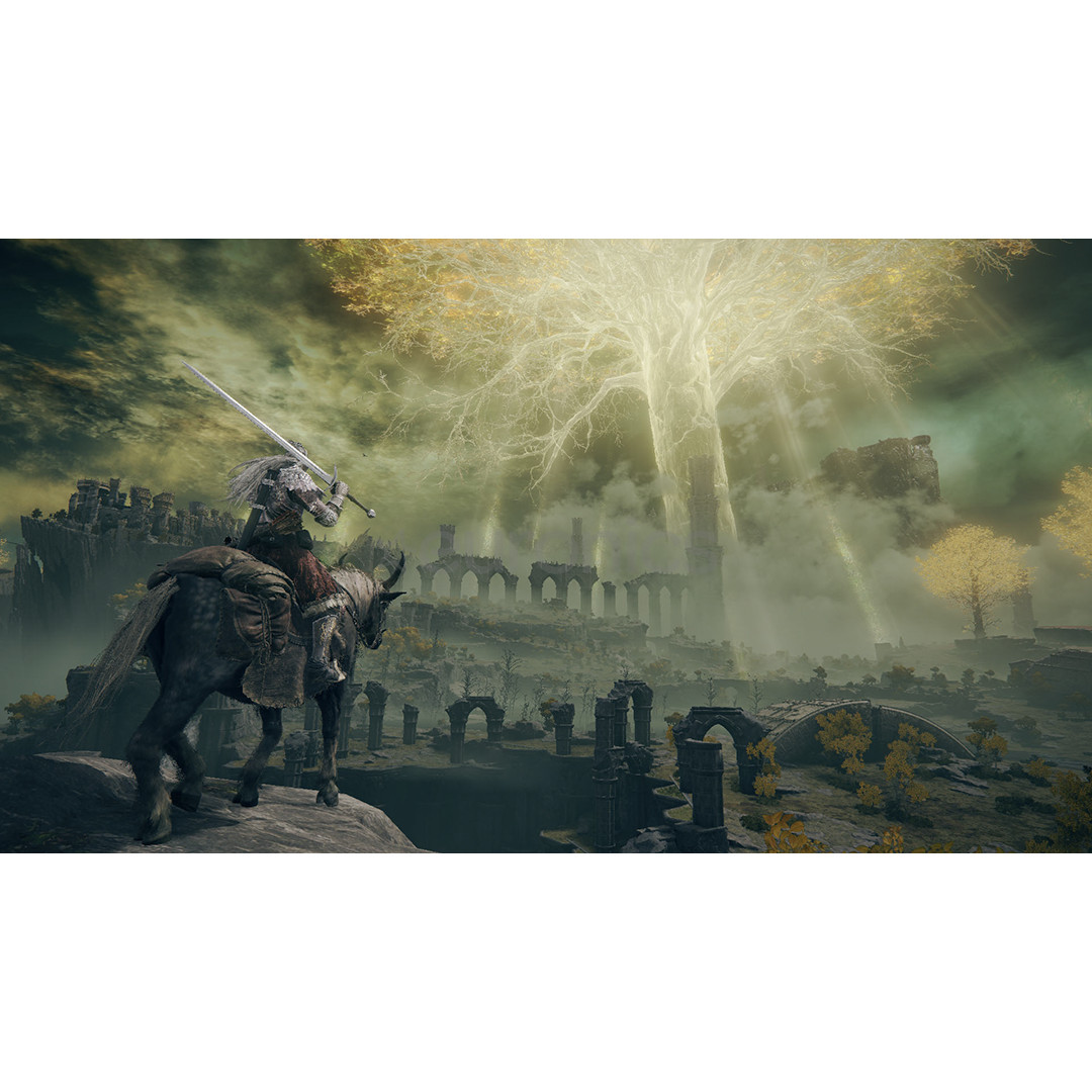 Elden Ring Tarnished Edition, Nintendo Switch 2 - Игра