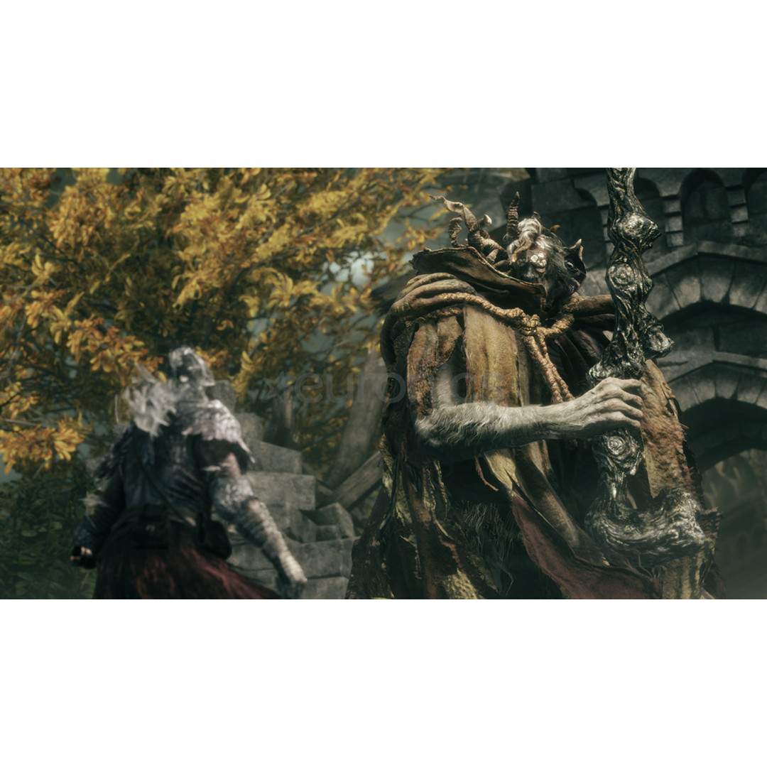 Elden Ring Tarnished Edition, Nintendo Switch 2 - Игра