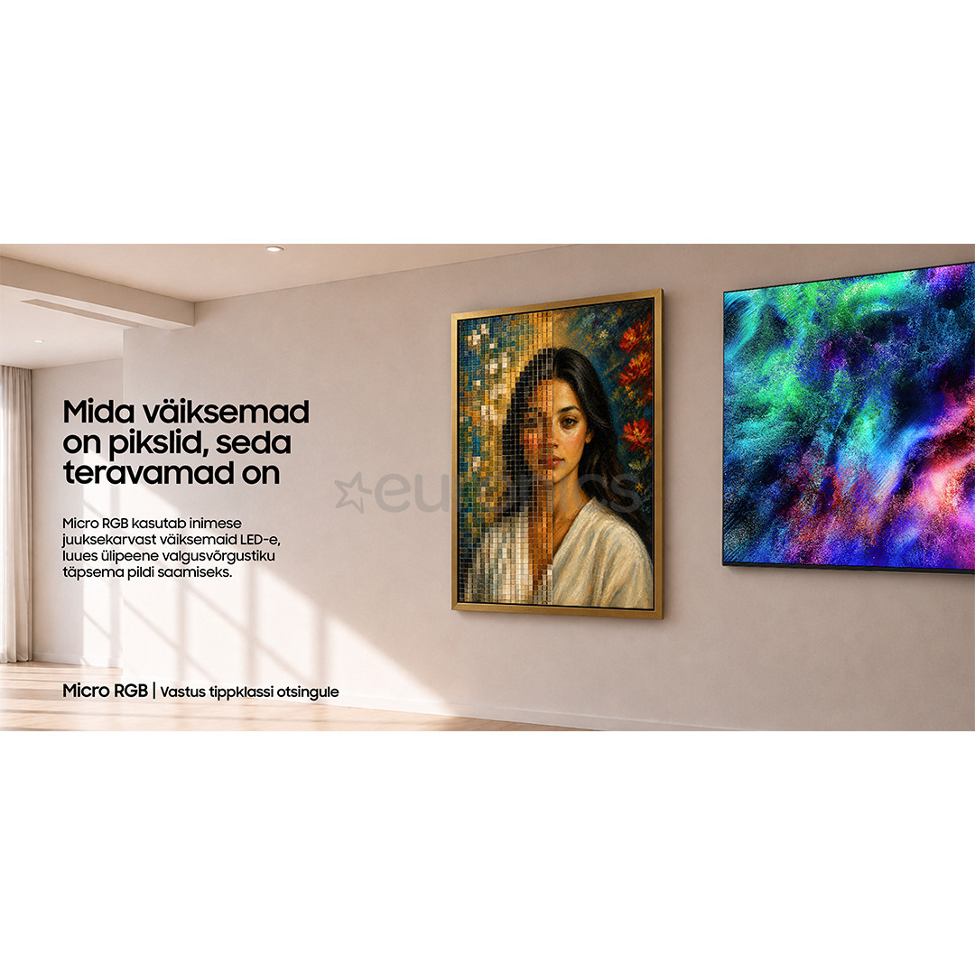 Samsung R95H 65'', 4K UHD, Micro RGB, must - Teler