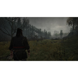 The Blood of Dawnwalker Day One Edition, PlayStation 5 - Mäng