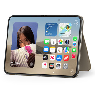 Apple iPhone Duo Folio with Kickstand, taupe - Case