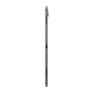 Samsung Galaxy Tab S12+, 256 GB, 5G, hall - Tahvelarvuti