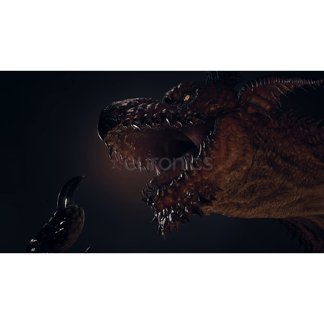 Dragon's Dogma 2: Dark Arisen, Nintendo Switch 2 - Игра