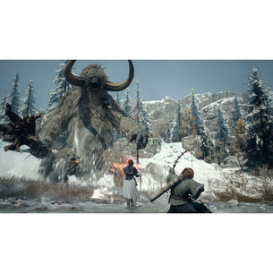 Dragon's Dogma 2: Dark Arisen, Nintendo Switch 2 - Игра