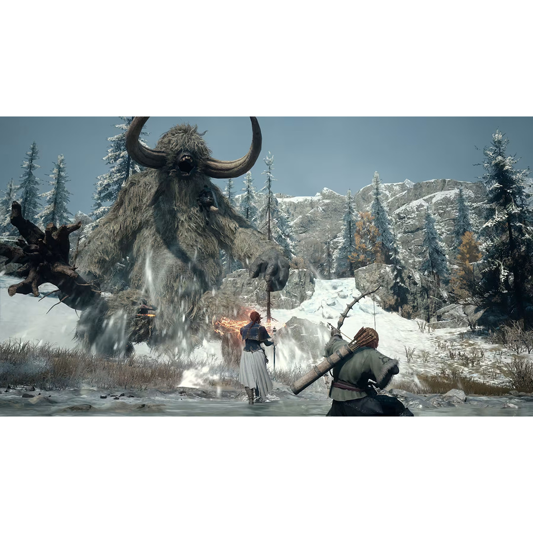 Dragon's Dogma 2: Dark Arisen, Nintendo Switch 2 - Игра